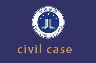 知识产权civil case